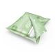 TENA Lady Sanitary Pad (Normal) 12's - Sanitary Napkins