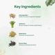 Dr. Vaidya's Herbobuild Capsule (Pack of 2 x 50's) - Speciality Medicines