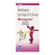 Moxigram Eye Drops 5ml - Eye Infections-Eaa
