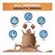 Gritzo SuperMilk Nutrition Drink Powder for Young Athletes - Double Chocolate 400 gm - Nutritional Supplement