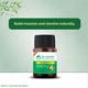 Dr. Vaidya's Herbobuild Capsule (Pack of 2 x 50's) - Speciality Medicines