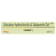 GABAPAX L Gel 30gm - Neuropathic Pain-Dru