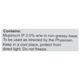 MUPIGRAM Ointment 10gm - Skin Infections-Toa