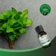 Satthwa 100% Pure Essential Oil - Peppermint 15 ml - Essential Oils