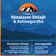 Zandu Vigorex Shilajit Ashwagandha Capsule 60's - Sexual Healthcare