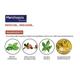 Menthopas Topical Pain Relief Patch (Pack of 5 x 3's) - Roll-On/Patch