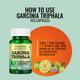 Morpheme Remedies Garcinia Triphala - 500mg Extract 60's - Herbal Dietary Supplement