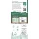 Innoveda Minty Ginger Lemon Grass Green Tea Whole tea leaves 100 gm - Teas