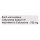 CEFOXIM 750mg Injection 1's - Bacterial Infections-Cep
