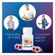 NUTRILITE ECHINACEA-CITRUS CONCENTRATE PLUS TABLET 60'S - Vitamin C