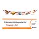 FEMGESIC L Gel 30gm - General-P