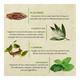 Bioayurveda Basics Joint Pain Relief Balm 20 gm - Balm/Ointments