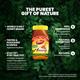 Dabur Honey 1 kg - Honey