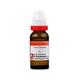 Dr. Reckeweg Arnica Montana 3X Liquid 11 ml - Dilutions