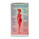 Plus Plus Lifesciences Trimacare 2 Veg Tablet (Morning 30's + Evening 30's) - Nutritional Supplements