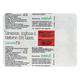 ZENESTA 2 Tablet 10's - Diabetes-Ant