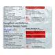 SUGAFLO M Tablet 15's - Diabetes-Ant