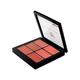 Pac Lip Palette X6 - 01  (Pink) 12gm - Lipsticks
