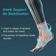 Tynor Ankle Support (Neoprene) (One Size) (J 12) - Knee/Ankle/Leg/Foot Supports