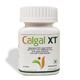 Voll Sante Calgal XT Tablet 30's - Calcium And Minerals