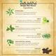 Indulekha Bringha Hair Cleanser 200 ml - Shampoos