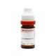 Dr. Reckeweg Ratanhia 200 Liquid 11 ml - Dilutions