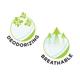 Pee Safe Disposable Underarm Sweat Pads Folded (7 Pairs) - Intimate Care