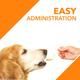Drools Absolute Salmon Oil Syrup - Dog Supplement 150 ml - Petfood
