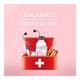 Caladryl Lotion 60 ml - Skin-Treatment