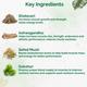 Dr. Vaidya's Herbobuild Capsule 30's - Speciality Medicines