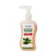 Patanjali Anti Bacterial Herbal Handwash 250 ml - Hand Wash & Soaps