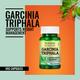 Morpheme Remedies Garcinia Triphala - 500mg Extract 60's - Herbal Dietary Supplement