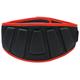 MuscleXP Gym Nylon Padded Weight Lifting Belt - Black (L) 1's - Gym Accessories