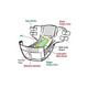AroKleen Disposable Adult Diaper (XL) (127 cm - 170 cm) (Pack of 6 x 10's) 1's - Adult Diapers & Pads