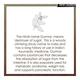 Vayam Ayurveda Gurmar Capsule 60's - Herbal Dietary Supplement