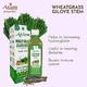 Axiom Jeevan Ras Wheat Grass Giloye Stem Juice 1 ltr - Ayurvedic Juices