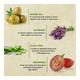 Bioayurveda Basics Complexion Care Tinted Moisturiser Face Creme 60 gm - Face Creams