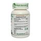 Planet Ayurveda Gymnema Sylvestre Capsules 60's - Diabetes Care (Ayush)