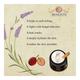 Bioayurveda Basics Youth Sport Anti-Fungal Foot Creme 20 gm - Foot Creams & Lotions