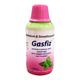 GASFIZ SUGAR FREE MINT FLAVOUR Oral Suspension 170ml - Ulcer/Reflux/Flatulence-Aaa
