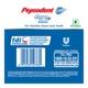 Pepsodent Lavang & Salt Toothpaste 100 gm - Toothpaste