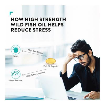 Swisse Ultiboost Odourless High Strength Wild Fish Oil 1500 mg Capsule 40's - Omega Fish Oil Fatty Acids