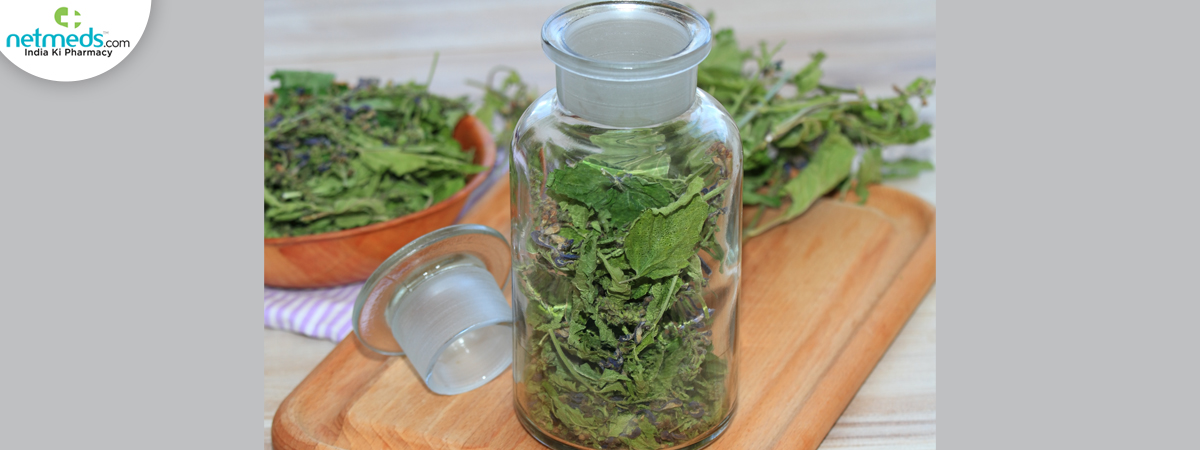 scutellaria-lateriflora_1200x450