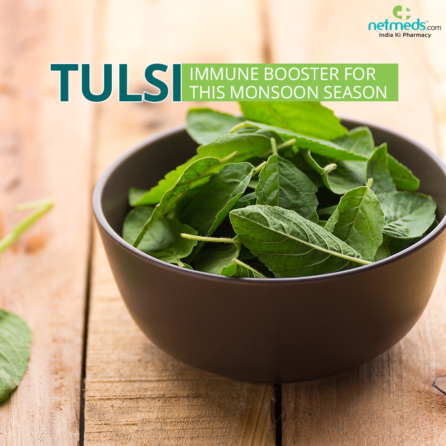 Tulsi  Immune Booster For This Monsoon Season
