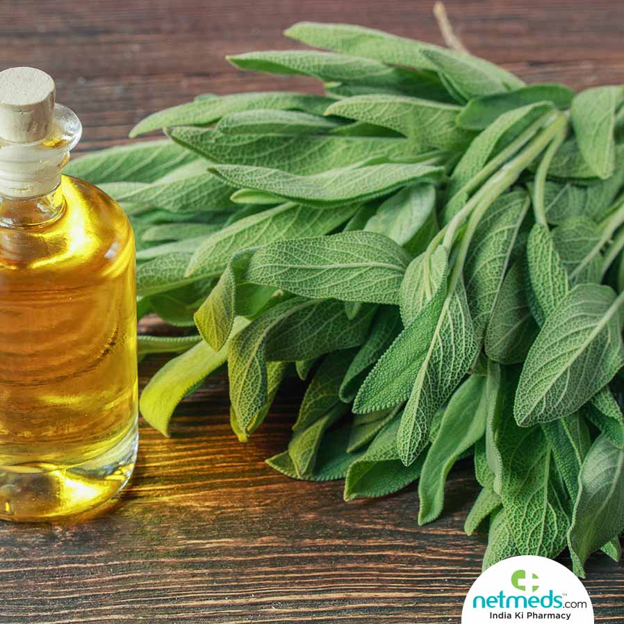 sage herb