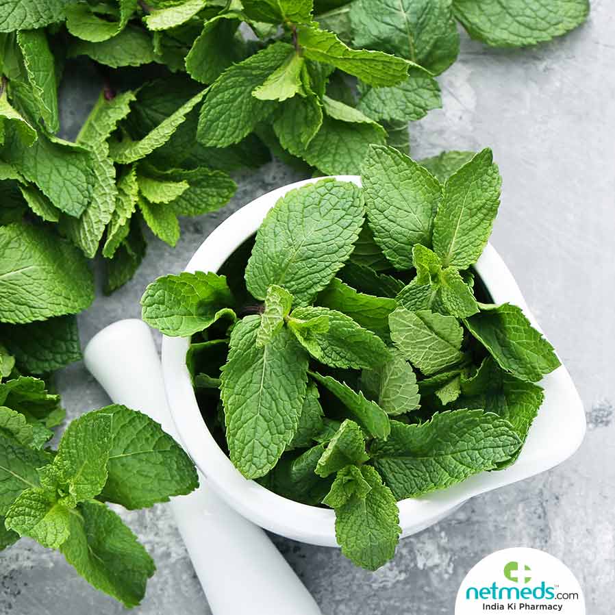 Mint Leaves