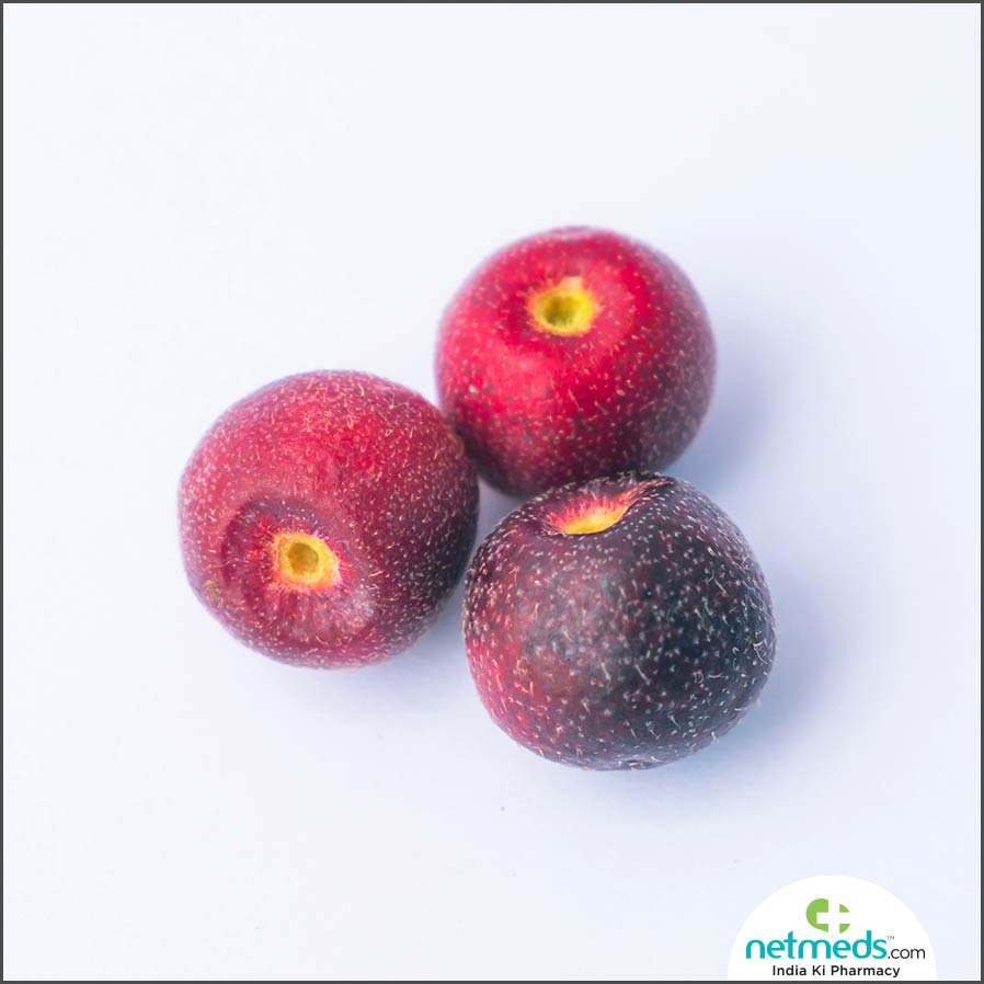 phalsa fruit