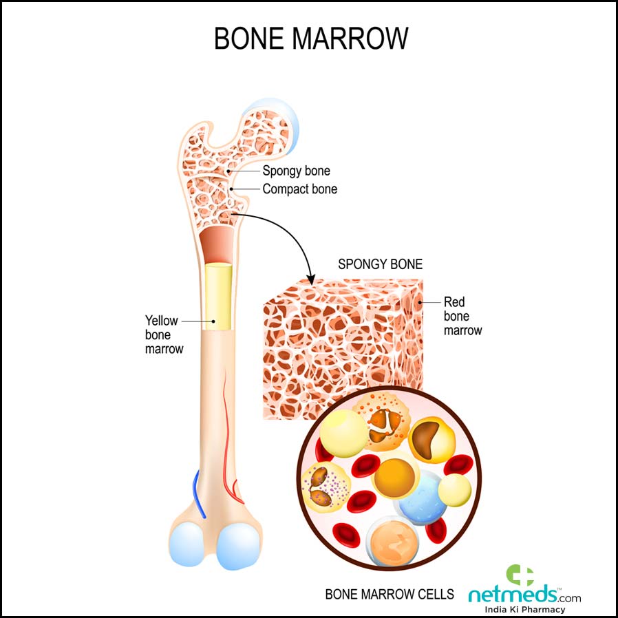 stem cell transplant