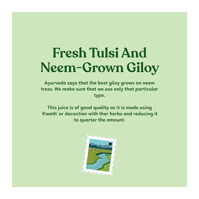 Kapiva Wild Tulsi Giloy Juice 1 ltr - Mouth Refreshners