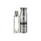 Ajmal Titanium EDP Citrus Spicy Perfume And Silver Shade Homme Deodorant Citrus Woody Fragrance 300 ml - Multi-Vitamins
